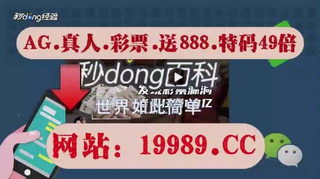 2024新澳门天天开好彩大全正版,重要性措施解析_可变制6.43