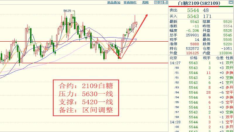 2024今晚香港开特马开什么,细微解答解释落实_实现版49.14.28