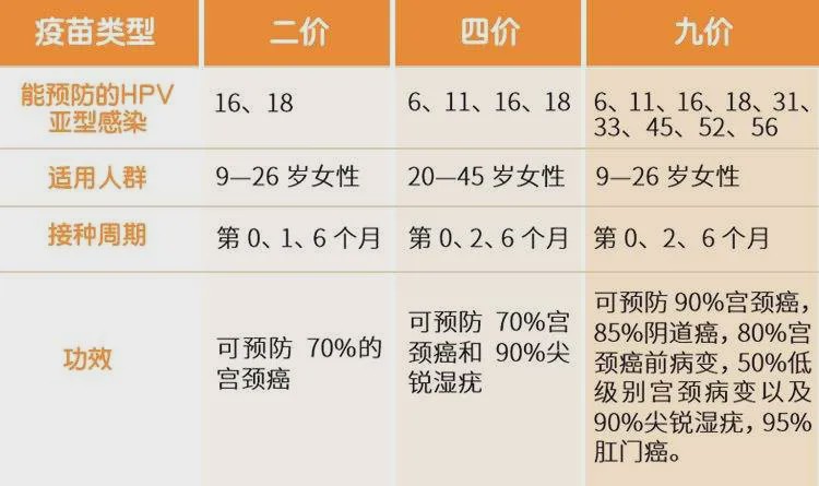 最准一码一肖100%精准老钱庄揭秘,实践解析说明_实现型1.402